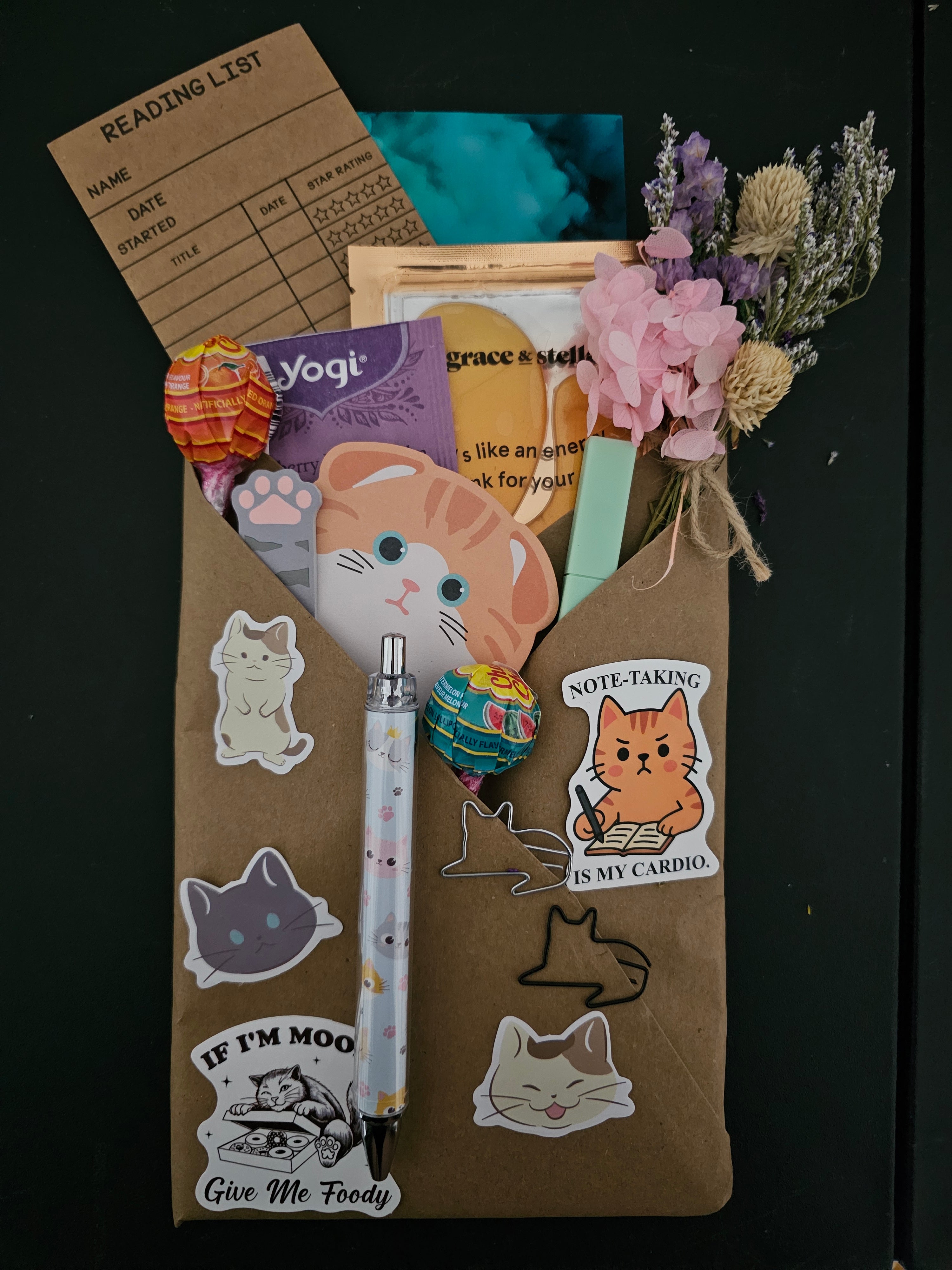 Cat Lover Mystery Bundles