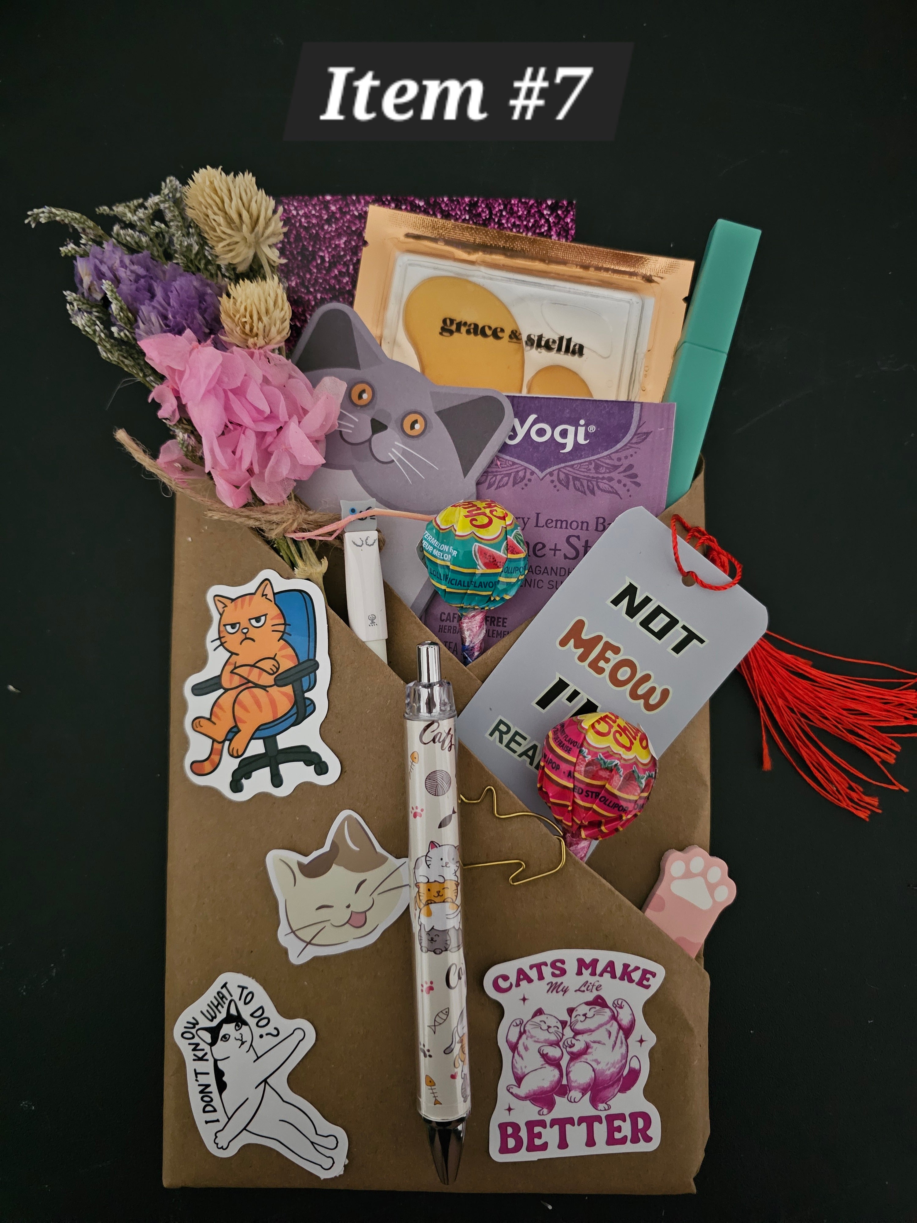 Cat Lover Bundle #7