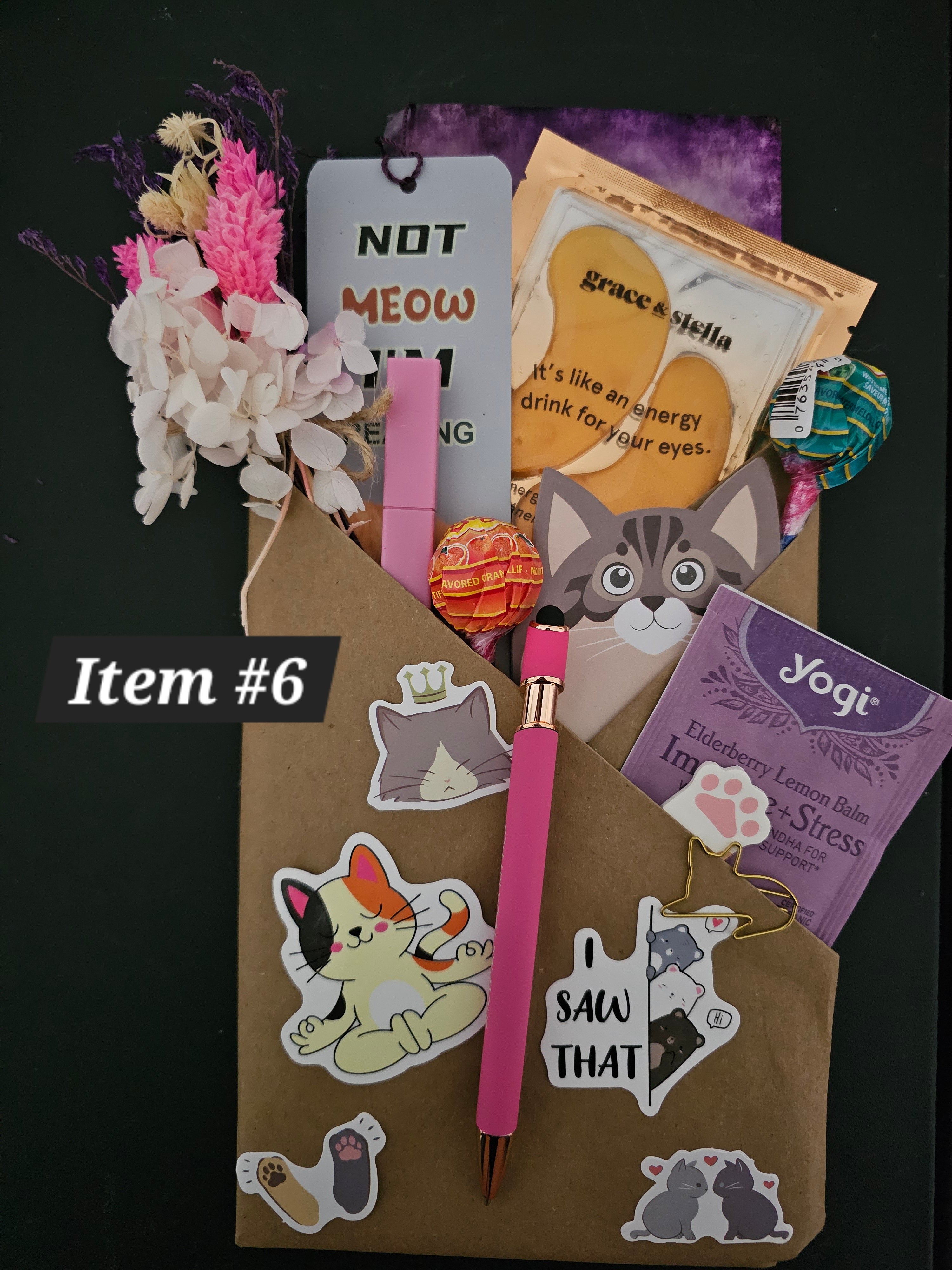 Cat Lover Bundle #6