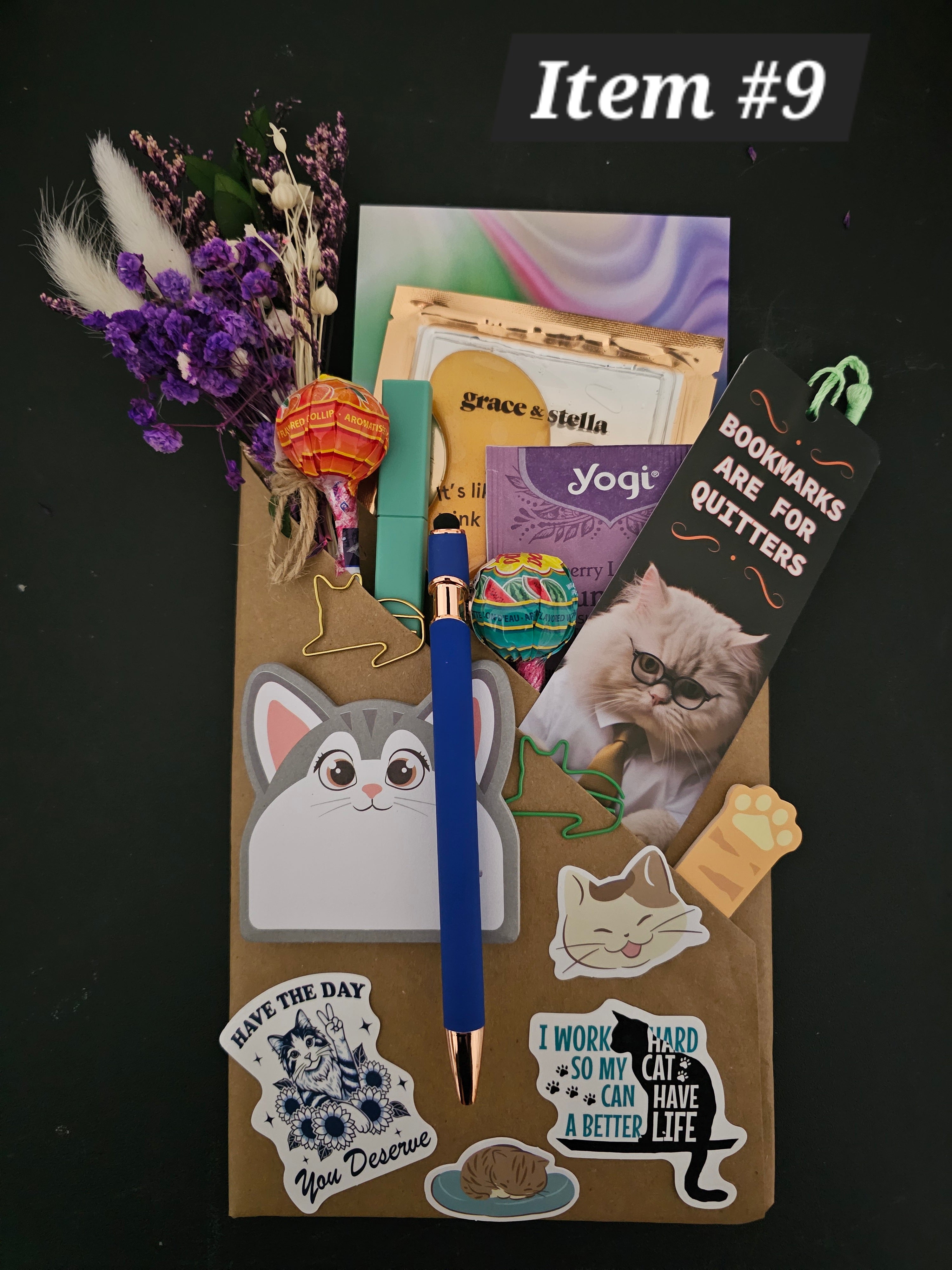 Cat Lover Bundle #9